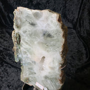 Green Amethyst/Prasiolite Slice L/b w/stand
